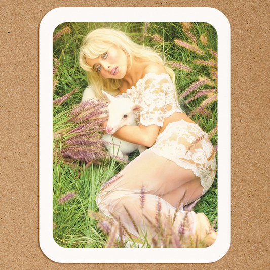 Sabrina Carpenter Lamb Photo Sticker | Cottagecore Pop Star Aesthetic Vinyl Sticker Sugary Bliss